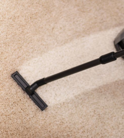 limpieza de tapetes bogota