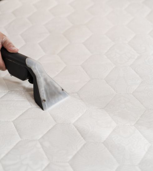 servicios de limpieza para colchones en bogota